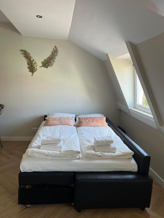 Apartment Pure Center B